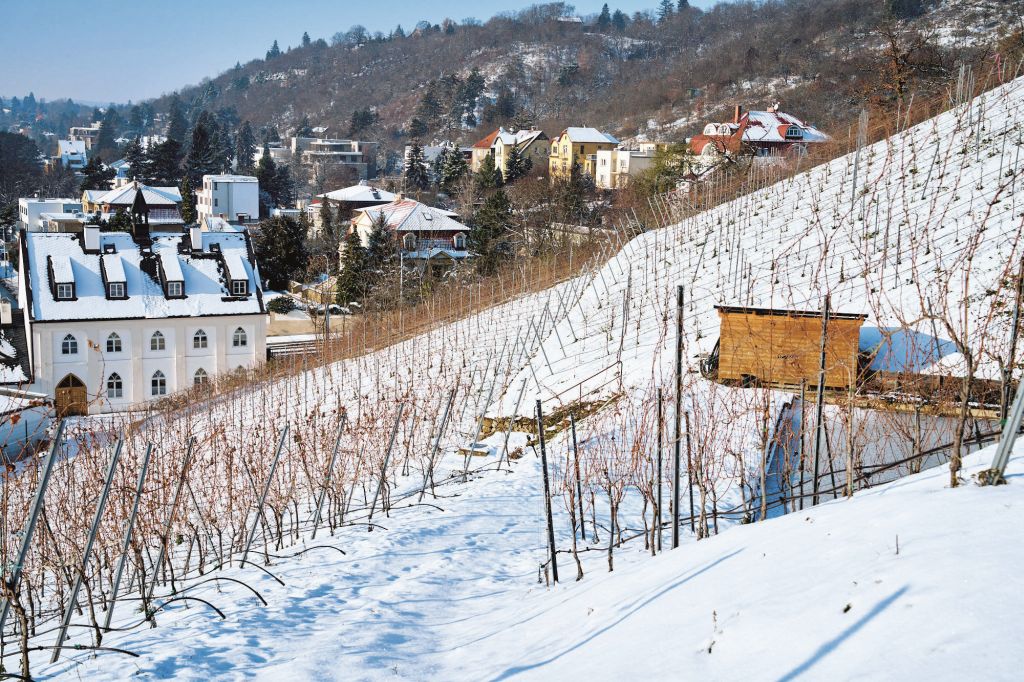 WINE & Degustation PRAHA